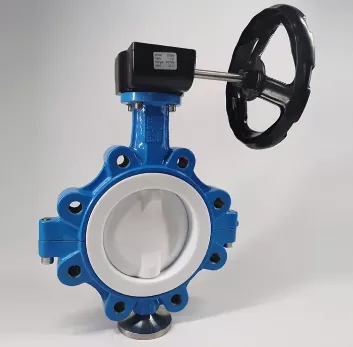 Бөлінген дененің нақты қосымшалары толығымен PTFE толығымен көбелек клапанын?